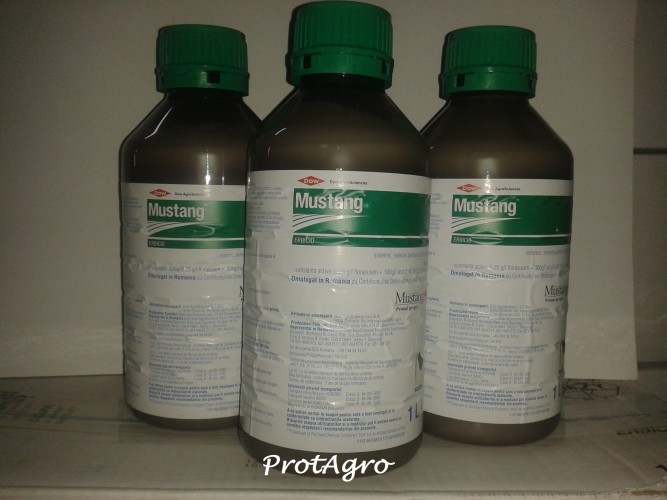  Mustang - 1l