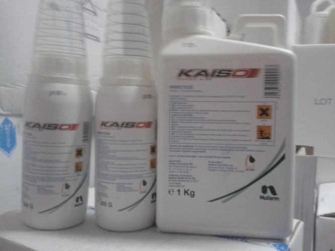 Kaiso Sorbie 5 WG-300g