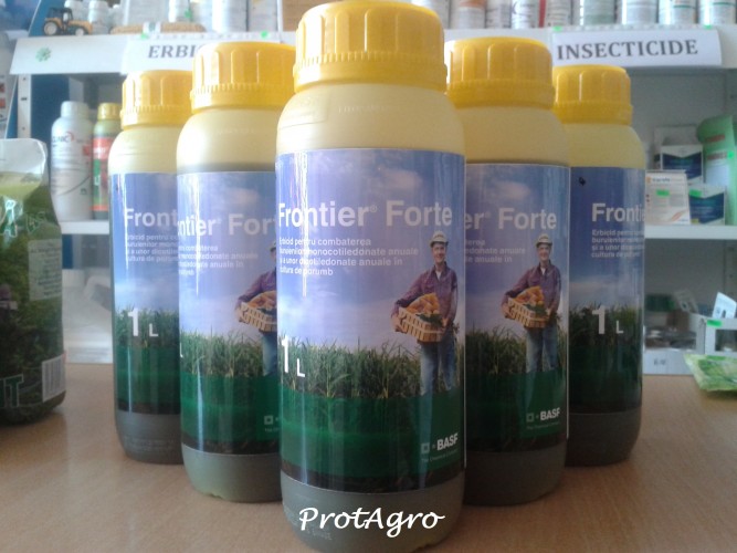 Frontier Forte-1l