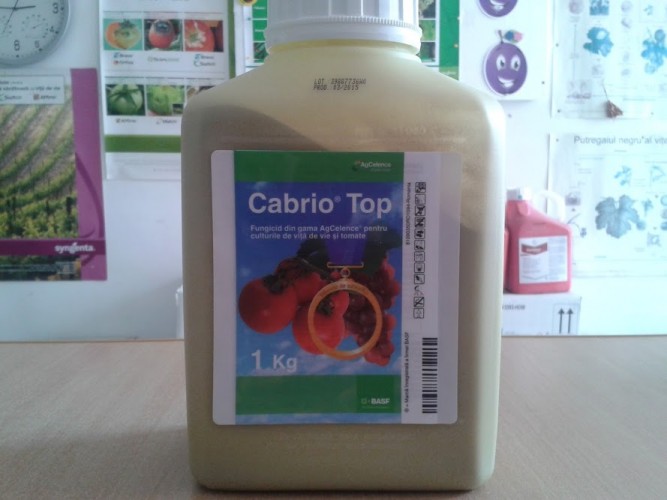 Cabrio Top -1 kg